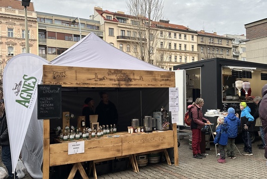 Galerie novinek z Dobrého kraje - Mangalice z Bohdanče oživily tradiční akci Národního zemědělského muzea